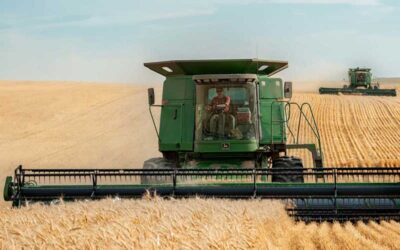 Should You Engage in Tax-Loss Harvesting?