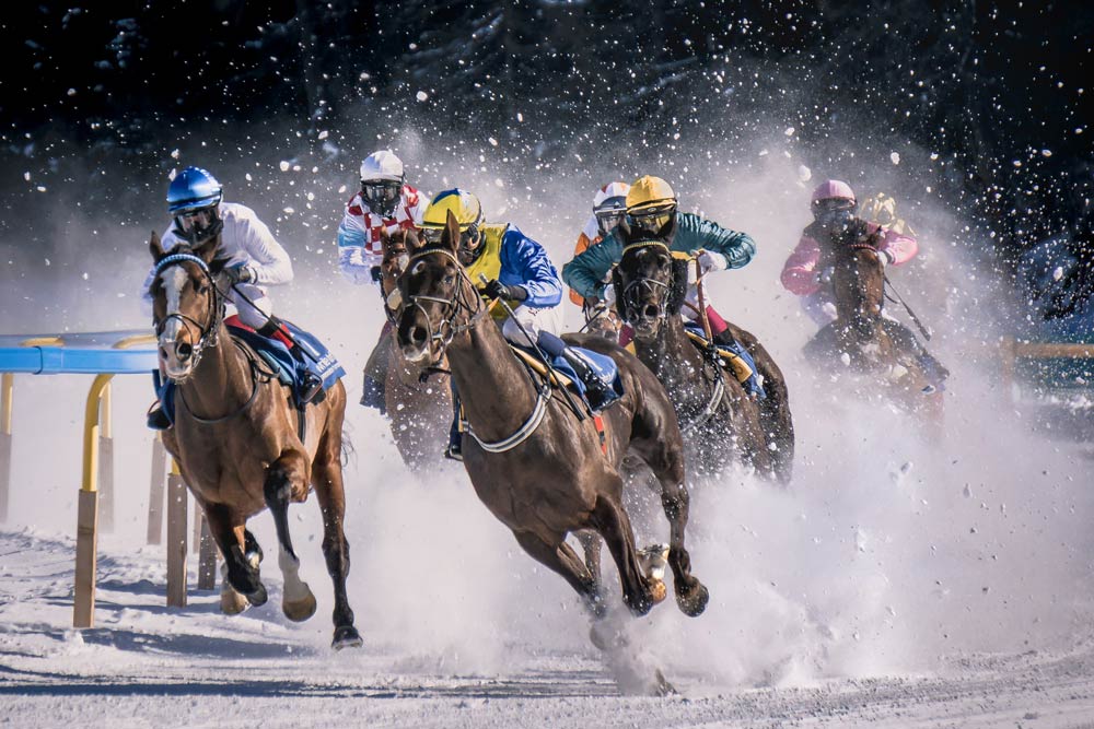 Horse racing in snow